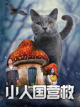 而二儿子吴忧则选择了另一条道路，以“阳光的力量”为母亲进行精神疗愈，希望让阳光照进母亲的心房。