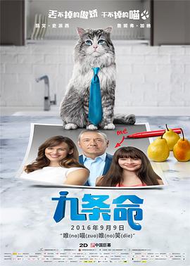从几分钟到十几分钟的网络番剧/短片，到一部需要撑起120分钟大银幕、承载数亿票房期待的电影，这条路究竟是IP价值放大的康庄大道，还是粉丝情怀透支的狭窄门径？